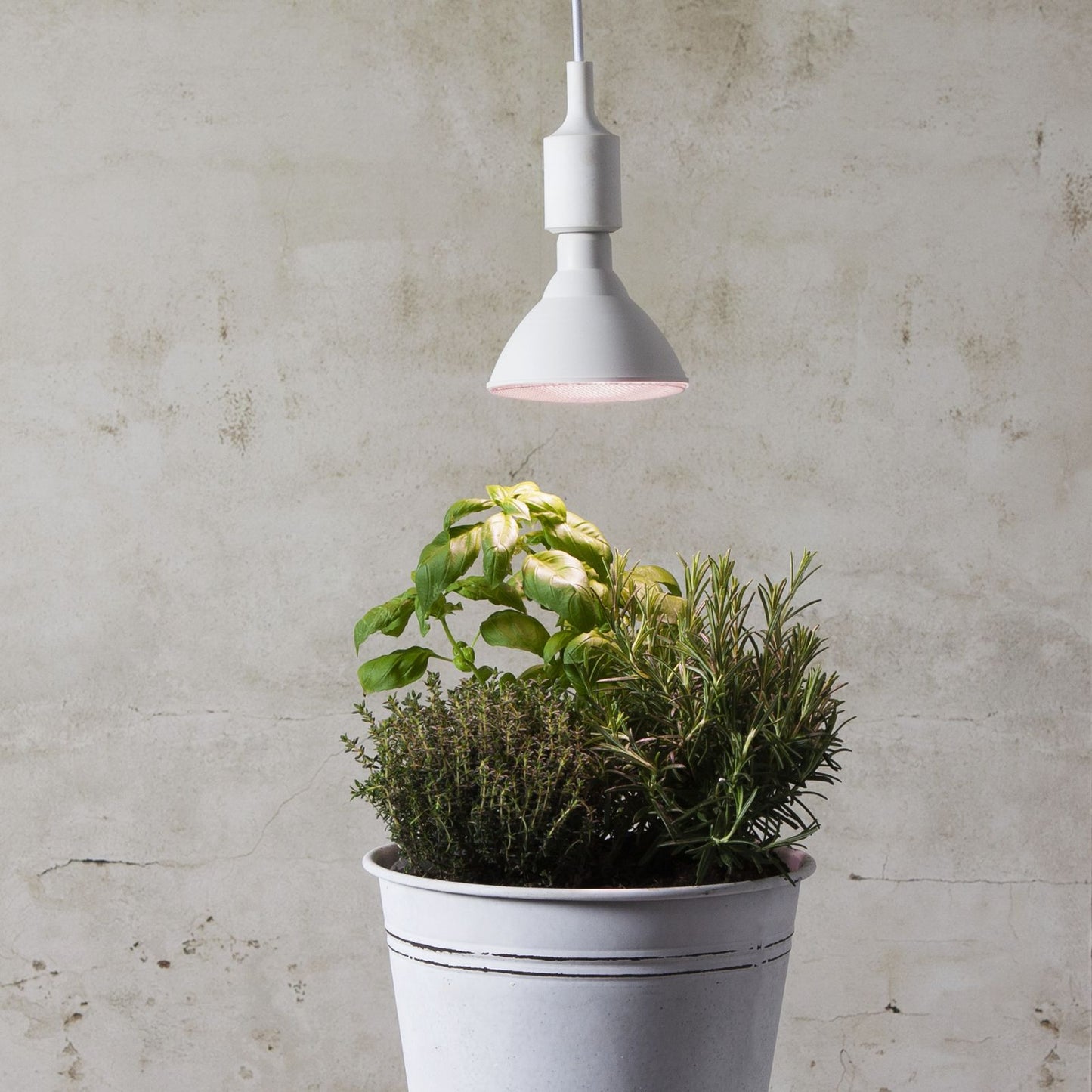 led-lampa-e27-par38-plant-light-357-36