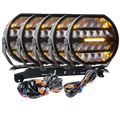 Luxtar Stellar Sort RAD5
